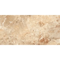 Papier Braccia Polished 60х120