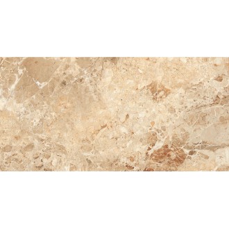 Papier Braccia Polished 60х120