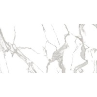 Pearl Satvario Glossy 80x160