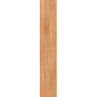 Керамогранит Pinewood Brino Mat 20x120