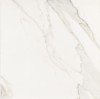 Precious Calacatta Amaciado 59.9x59.9