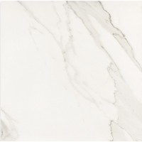 Precious Calacatta Amaciado 59.9x59.9