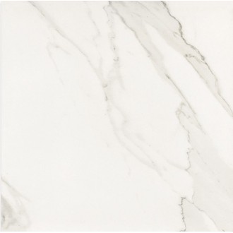 Precious Calacatta Amaciado 59.9x59.9