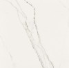 Precious Calacatta Polished 59.2x59.2