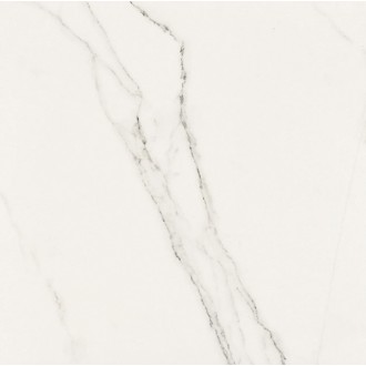 Precious Calacatta Polished 59.2x59.2