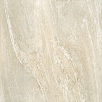 Pretiosa 60A R10 60*60