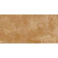 R54Z Epoca Ocra 15х30