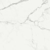 Керамогранит R72Y Statuarietto Glossy Rettificato 58x58