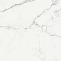 Керамогранит R72Y Statuarietto Glossy Rettificato 58x58
