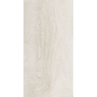 Керамогранит RDKA 12W RM White 60x120