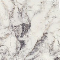 Керамогранит REGENCY Blanco 59x59