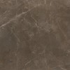 ROYAL PULPIS KHAKI Rektifiye Parlak Nano 80X80