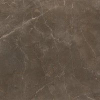 ROYAL PULPIS KHAKI Rektifiye Parlak Nano 80X80