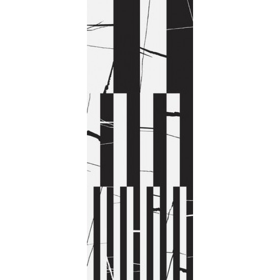 Керамогранит Ray Polished Rect. 45x118