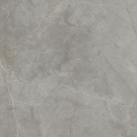 Керамогранит Raymi JW 16 Luc SQ 60x60