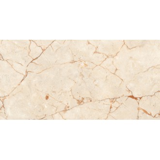 Rosalia Polished 60х120
