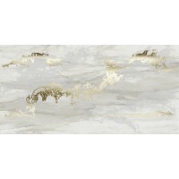 SOGG12 Venus Dec. Solitaire Gold-Grey 60x120