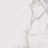 SP6010P SUPREME ROYAL STATUARIO ANT 60x60