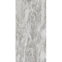 SP6122P SUPREME SILVER DREAM ANT 60x120