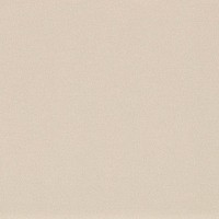 Керамогранит STUDIO 60S 60*60