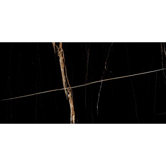 Sahara Black 60x120 глянцевый