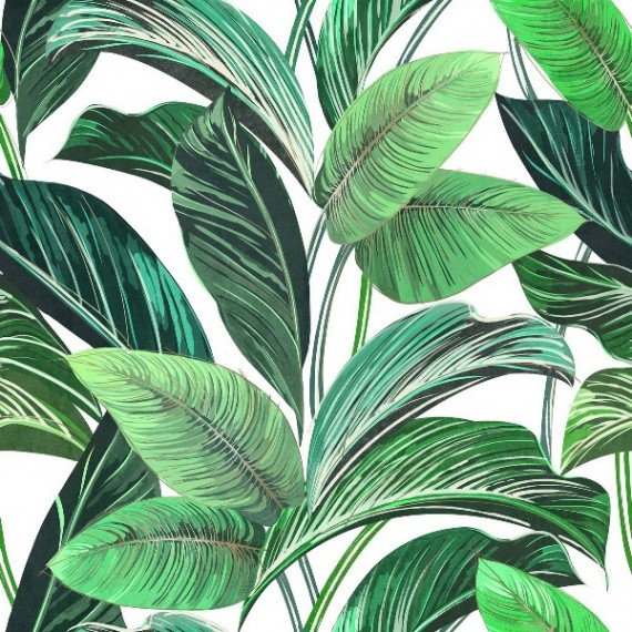 Керамогранит Showall White Leaf (set 2 pz) 120x120