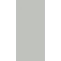 Silver Natural 120x260