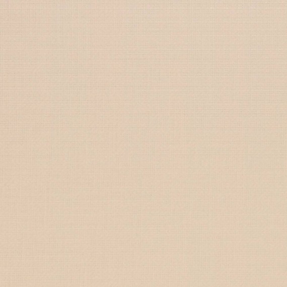 Керамическая плитка Керамогранит Soften Capuccino Rect. 44.5x44.5