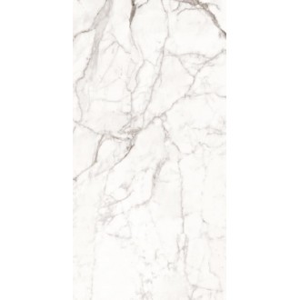 Superb Satuario Grande 60x120 полированная