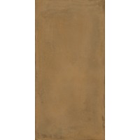 TERRA 12OC RM 60x120