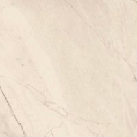 Керамогранит TREX6 120W RM White 120x120