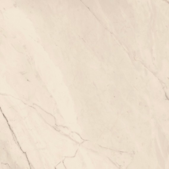 Керамогранит TREX6 120W RM White 120x120