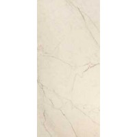 Керамогранит TREX6 DK 260WLP 120x260