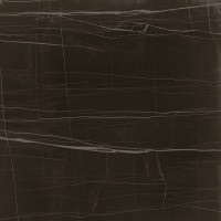 Керамогранит TREX 120N RM Black 120x120