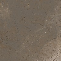 Керамогранит TREX 120TO RM Dove Gray 120x120