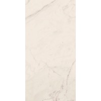 Керамогранит TREX 12W RM White 60x120