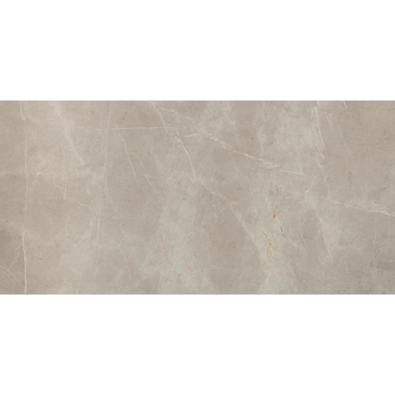 Керамическая плитка Керамогранит Tafu Lux MH21 58*116