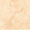 Travertine 20mm 60x60