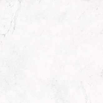 Керамогранит V5590844 RIVOLI 59.6x59.6