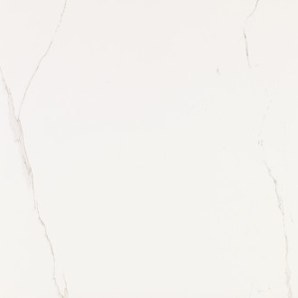 V55908981 Artic 59.6x59.6