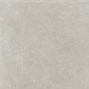 V55909391 Verbier Silver 59.6x59.6