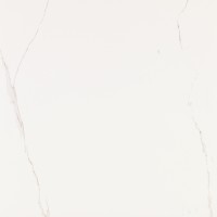 V57000731 Artic Nature 80x80