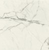 Керамогранит VANITY BIANCO STATUARIO Polished 120x120