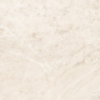Керамогранит VERMONT bone rect. 49,1*49,1