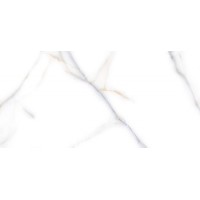 Venato Bianco 60x120 high gloss