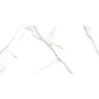 Venato Bianco 60x120 high gloss