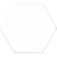Versalles HEX White 20x24
