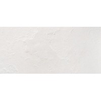 Керамогранит WL60 Arenal Lapp. Rett 24,5x49