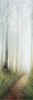 WONDERWALL TILES DREAM B 300x100