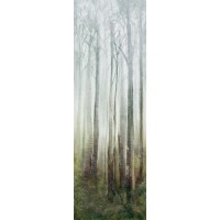 WONDERWALL TILES DREAM C 300x100